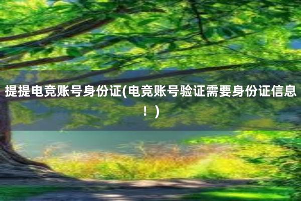 提提电竞账号身份证(电竞账号验证需要身份证信息！)