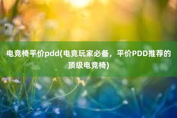 电竞椅平价pdd(电竞玩家必备，平价PDD推荐的顶级电竞椅)