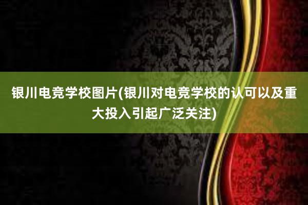 银川电竞学校图片(银川对电竞学校的认可以及重大投入引起广泛关注)