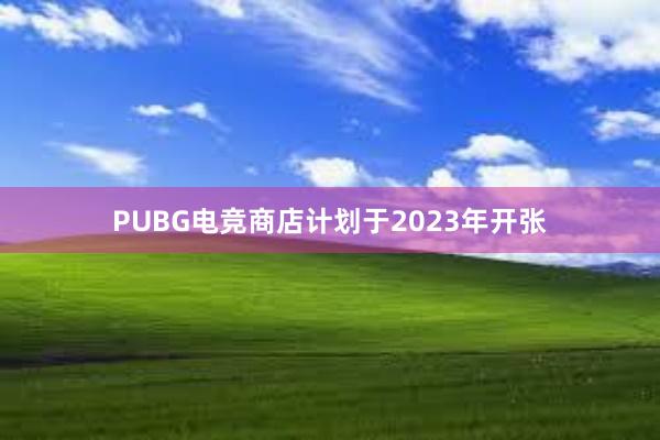 PUBG电竞商店计划于2023年开张