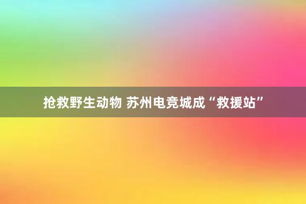 抢救野生动物 苏州电竞城成“救援站”