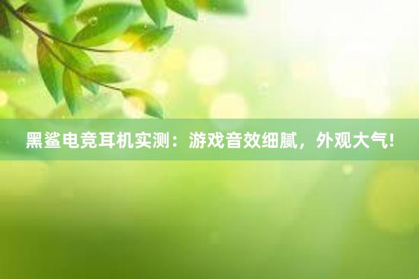 黑鲨电竞耳机实测：游戏音效细腻，外观大气!